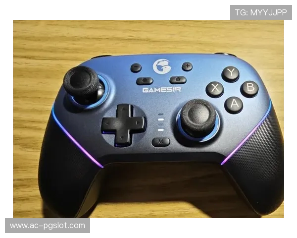 20至80元游戏手柄性价比之王 哪款才是玩家的最佳选择 20至80元游戏手柄性价比之王 哪款才是玩家的最佳选择